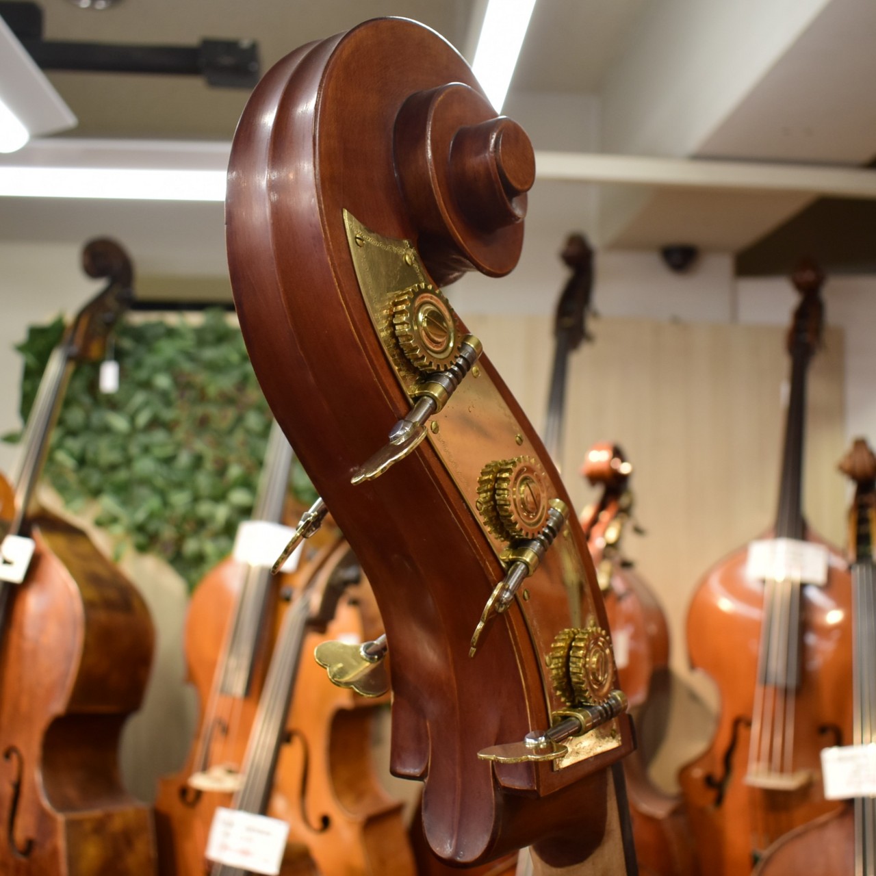 Gliga Gems II Violin Shape/C.Back 5st 3/4 size【地下コントラバス