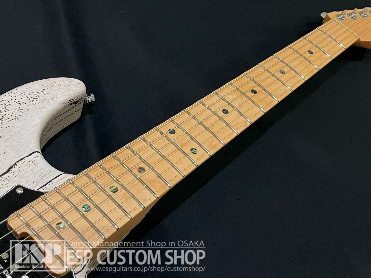 ESP SNAPPER-AS/M Drift Wood White w/Black Filler（新品/送料無料