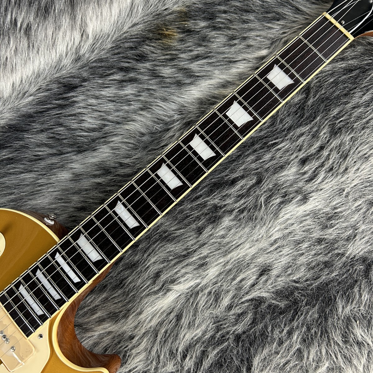 Tokai LS-101S/WA GT（新品/送料無料）【楽器検索デジマート】