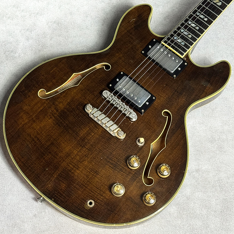 Greco 1979 SV-800【加古川店】（ビンテージ/送料無料）【楽器検索