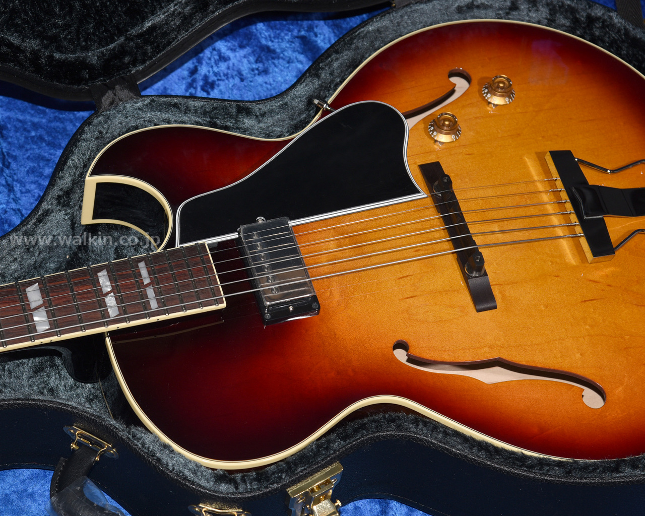 Archtop Tribute AT105M（新品）【楽器検索デジマート】