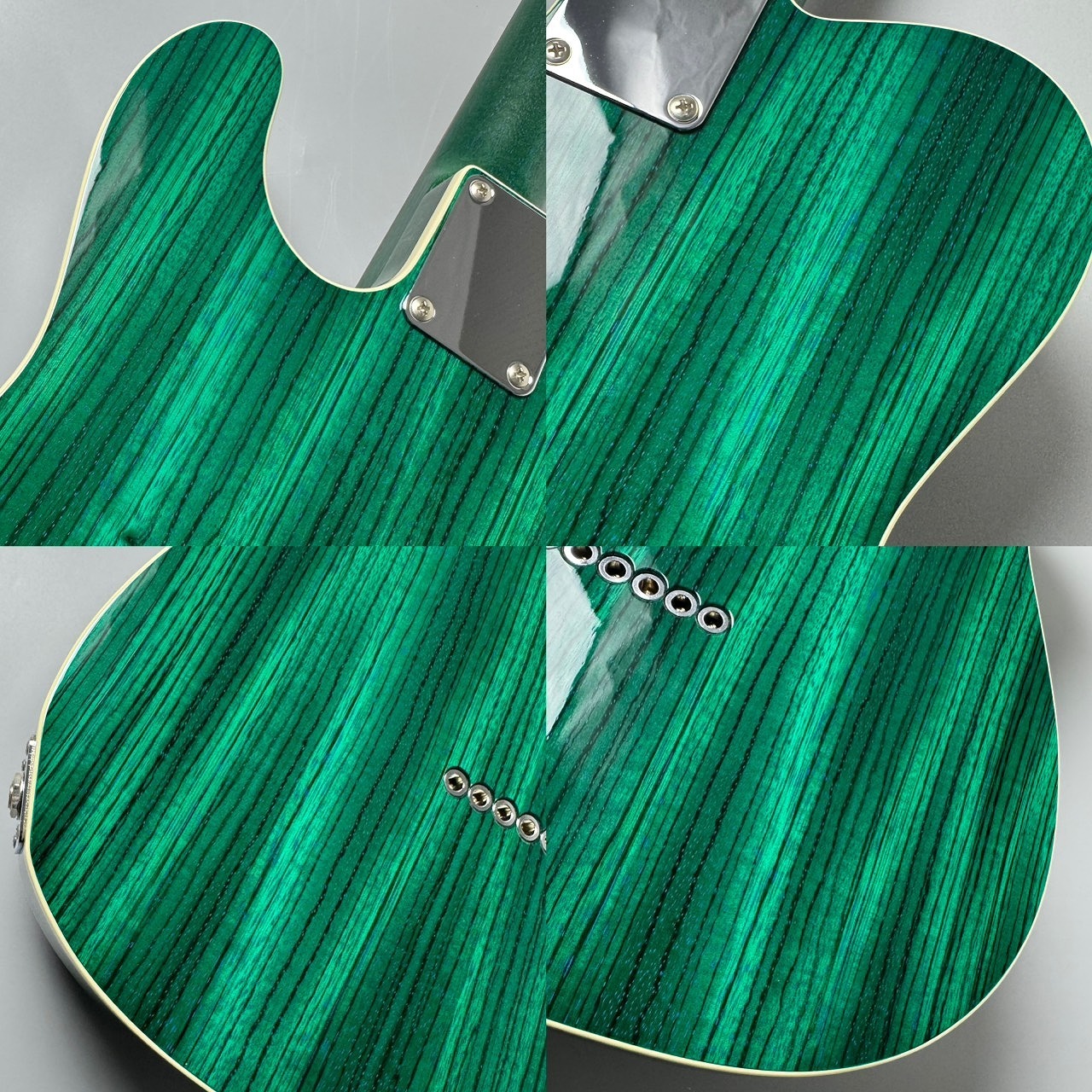 FREEDOM CUSTOM GUITAR RESEARCH C.S. TE Pepper Semi Hollow -Green