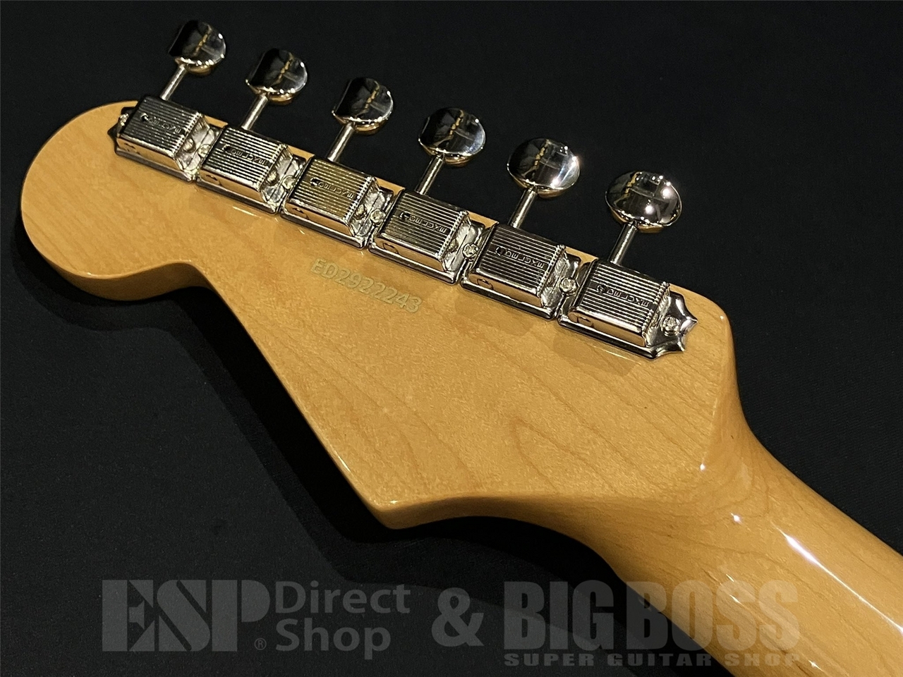 EDWARDS E-ST-ALR / Vintage White（新品/送料無料）【楽器検索