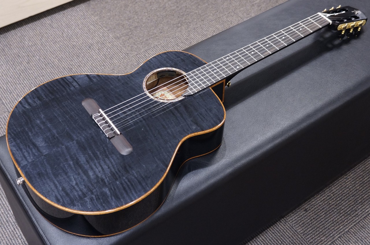 aNueNue aNN-LN77E（新品/送料無料）【楽器検索デジマート】