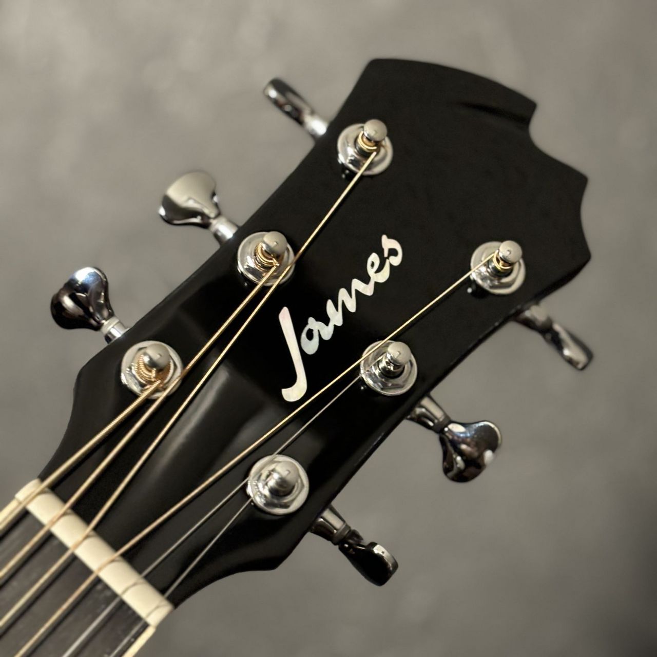 James J-500S VNT エレアコ アジャスタブルサドル搭載 簡単弦高調整