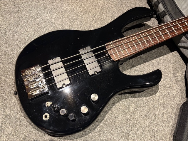 ESP bottom line ボトムライン 改造 カスタム　ケース付 ESP bottom line ボトムライン 改造 カスタムケース付