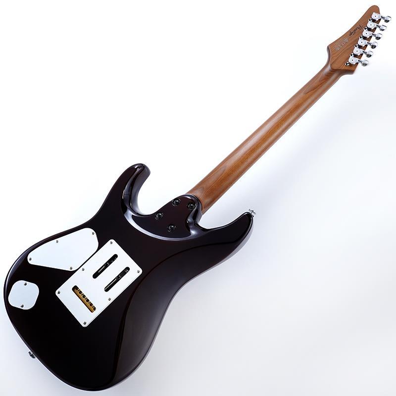 Ibanez Prestige AZ2204NJA-TS (Tobacco Sunburst) [Limited Model] SN