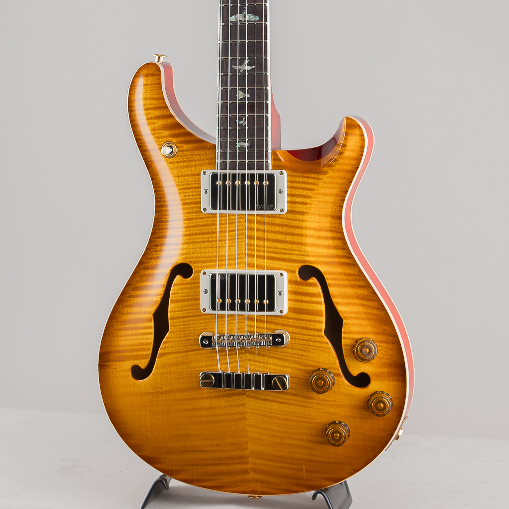 Paul Reed Smith(PRS) McCarty594 Hollowbody II 10Top McCarty