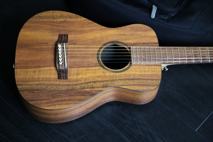 Martin LXK2 専用ギグバック セール期間限定価格（中古）【楽器検索