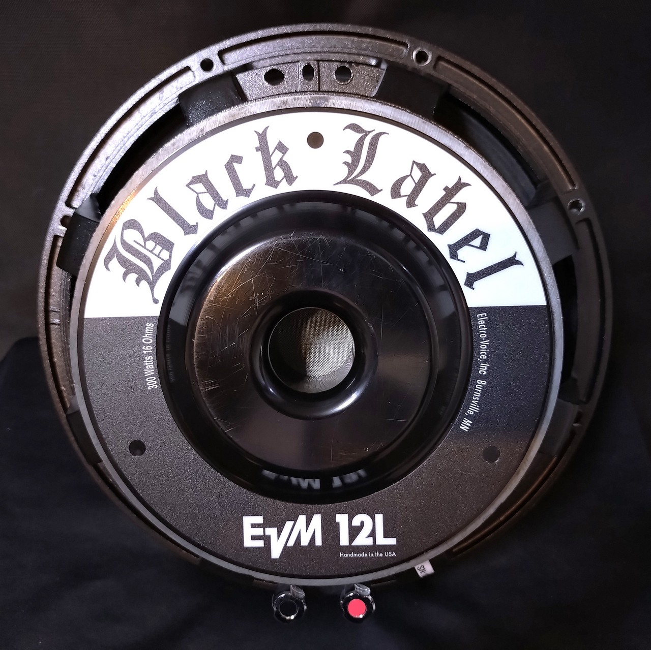 エレクトロボイス EVM- 12S （Electro-Voice エレクトロボイス