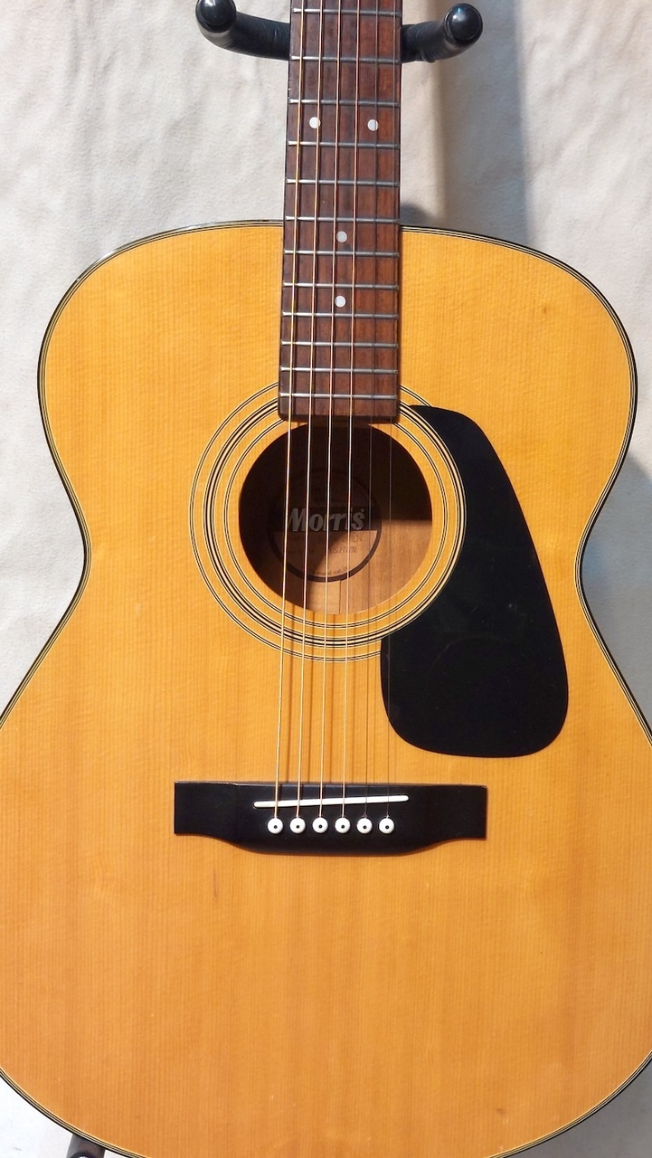 Morris MF-202N（中古）【楽器検索デジマート】