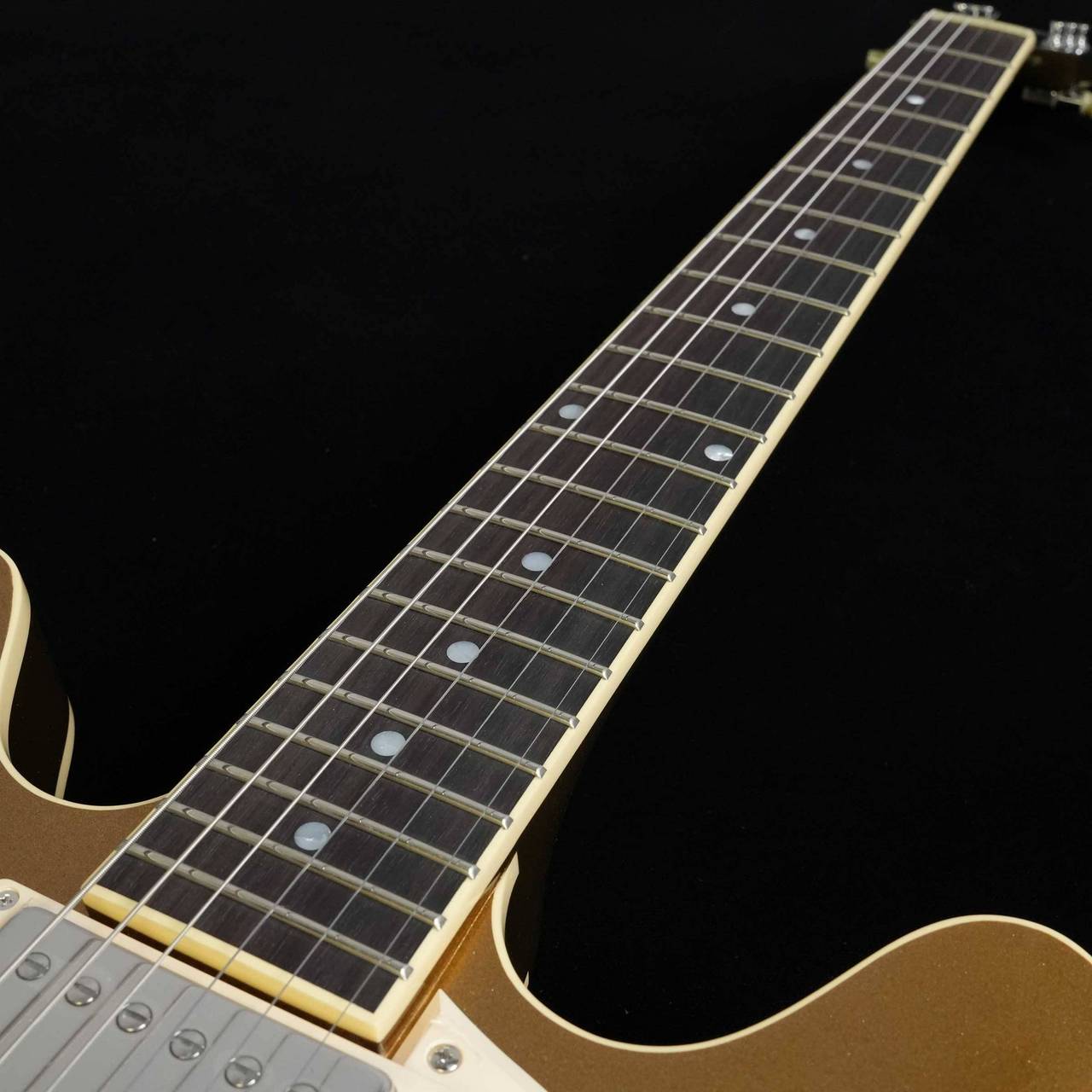 VG VG-ES STD Vintage Gold エレキギター セミアコ（新品/送料無料