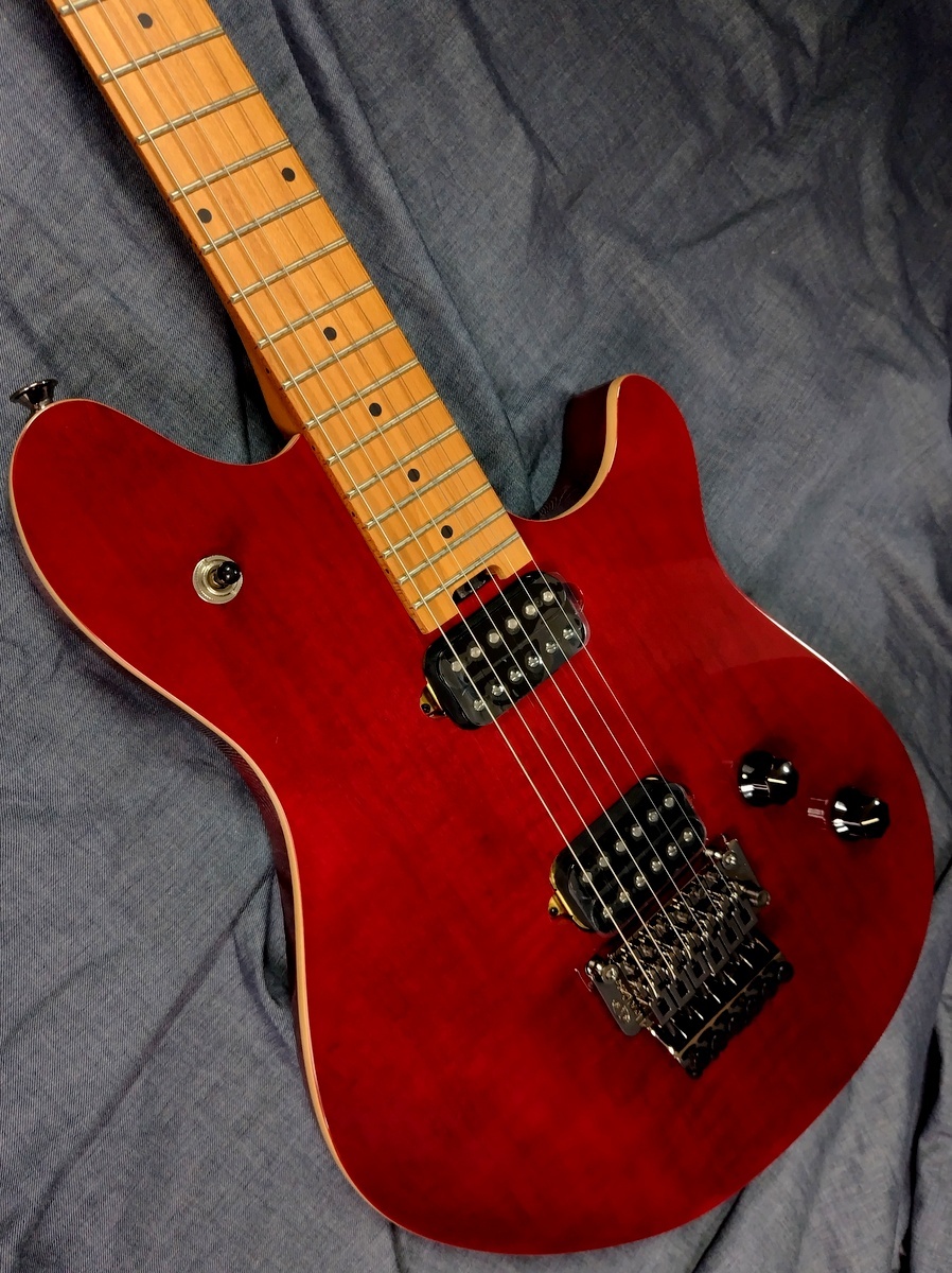 EVH WG STD BKD MPL WINE RED Wolfgang Standard Wine Red（新品特価