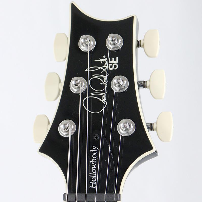 Paul Reed Smith(PRS) SE Hollowbody Standard (Dog Hair Smokeburst
