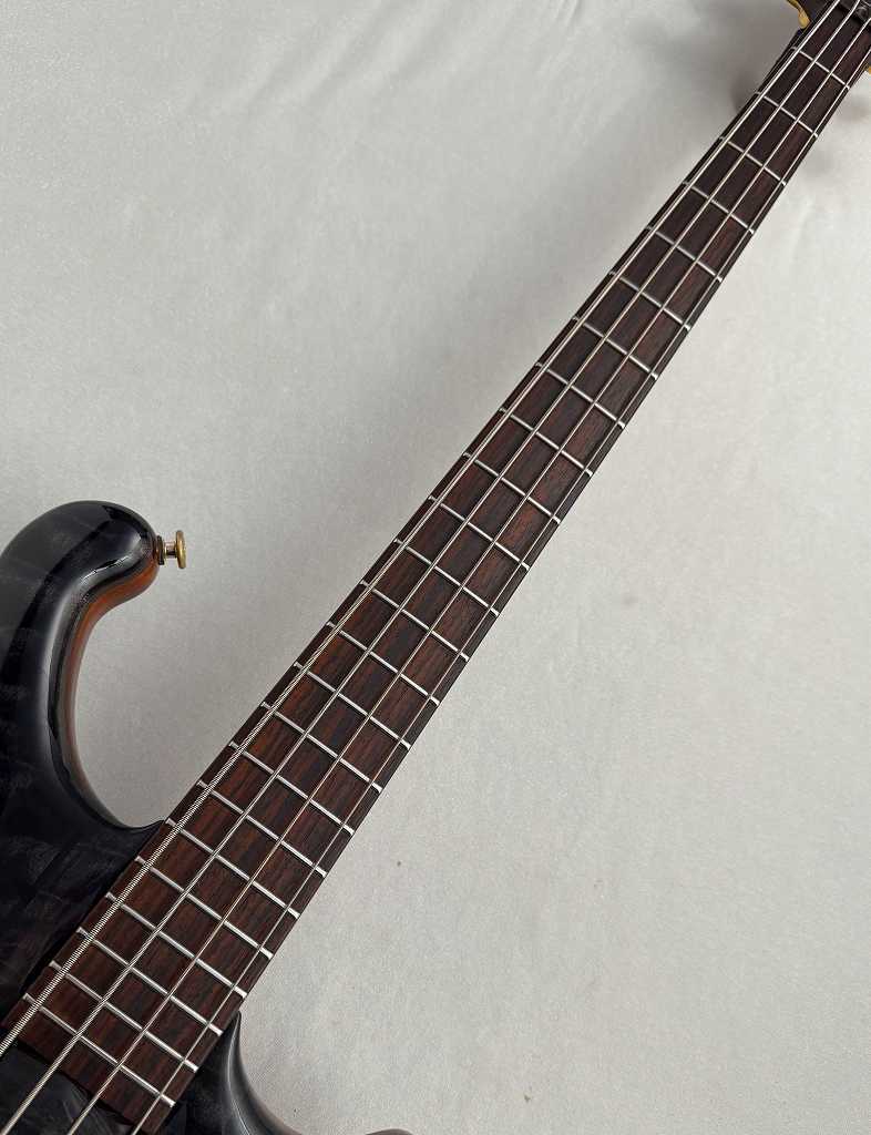 FREEDOM CUSTOM GUITAR RESEARCH Dulake 4st -鴉-【USED】（中古