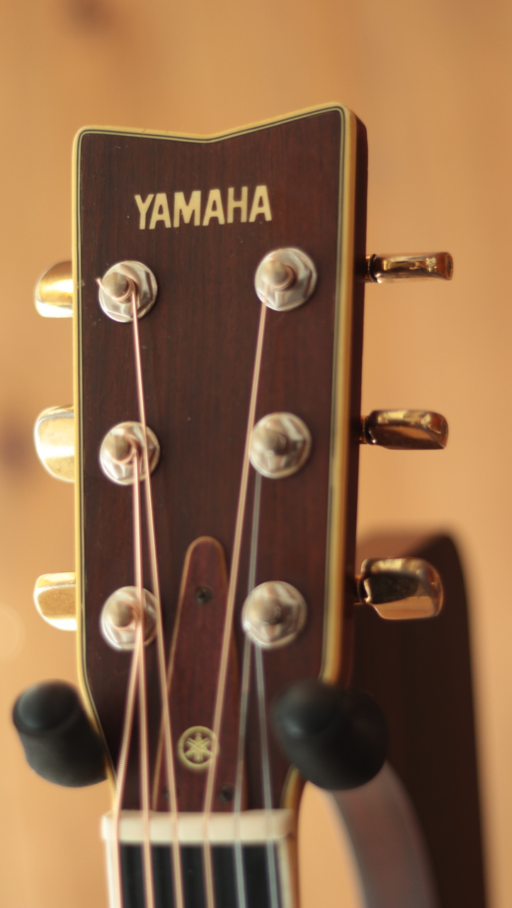 YAMAHA ビンテージ　オール単板　NO15 YAMAHA ビンテージ オール単板 NO15