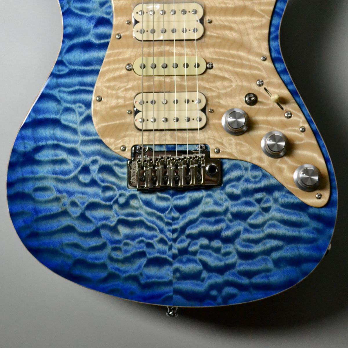 FREEDOM CUSTOM GUITAR RESEARCH Hydra Jacaranda Custom/SER(清流 