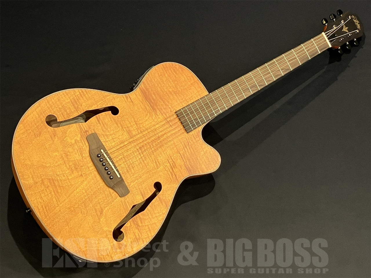 ARIA FET-F2 / Stained Brown（新品/送料無料）【楽器検索デジマート】