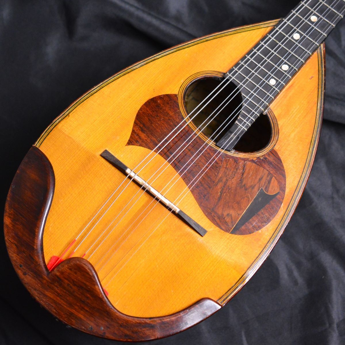 Fratelli Vinaccia 1920s Mandolin（ビンテージ/送料無料）【楽器検索 