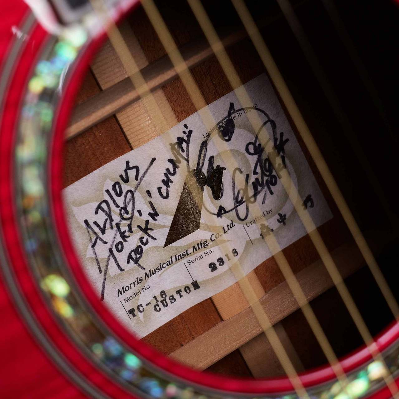Morris TC-16 Custom See-through Pink エレアコギター 【中古】（中古