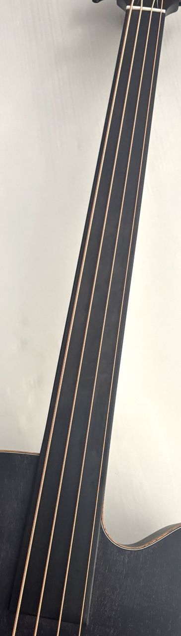 Aria FEB-FL 中古品【愛知県近郊にてお受け渡し・またはお引き取り希望】 Z*i様 ARIA FEB-FL LVS アコースティックベース - メルカリ