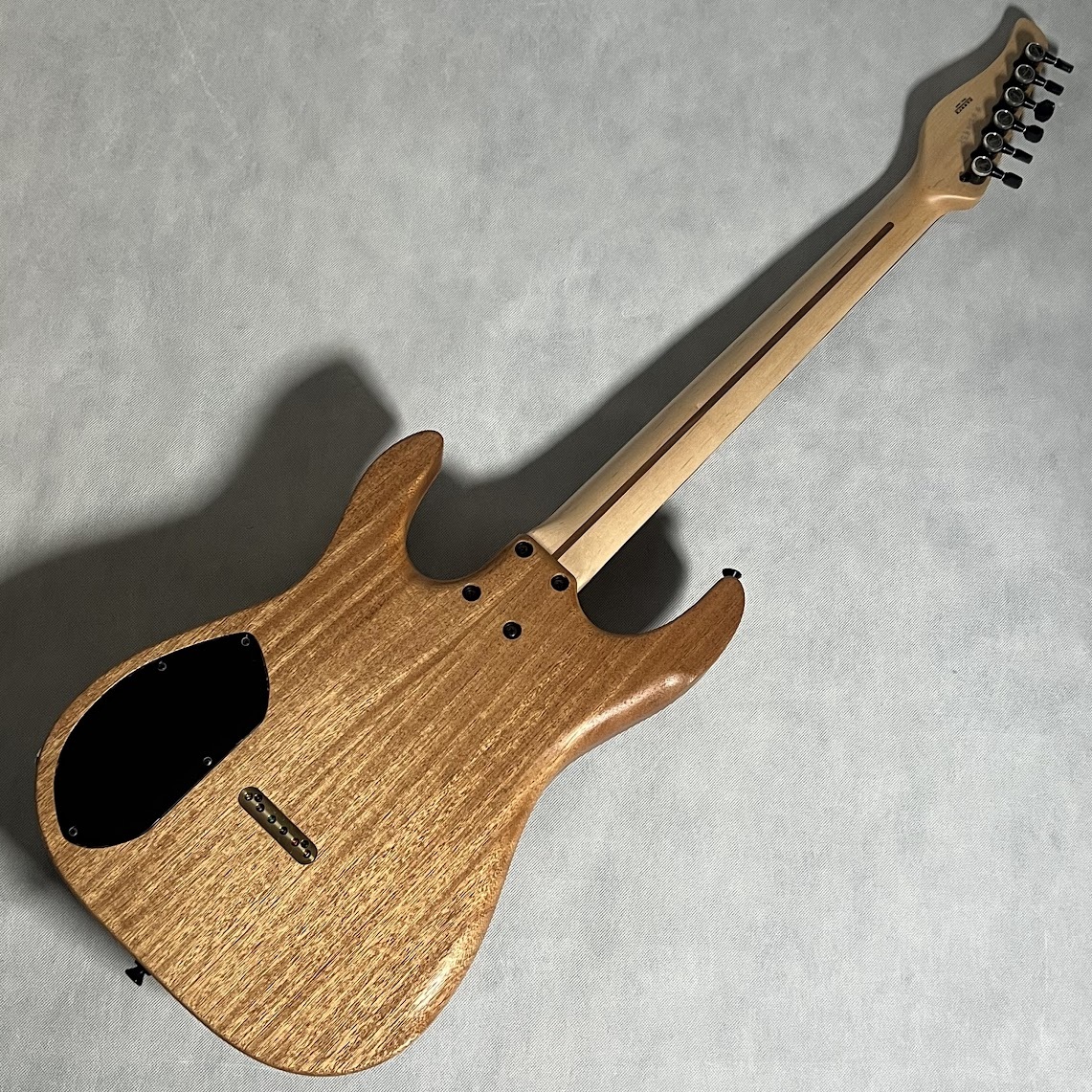 dragonfly SOTTILE CUSTOM 666 Slab Body（新品特価/送料無料）【楽器 