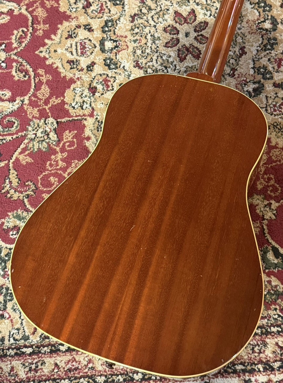 Epiphone 【USED】 Paul McCartney Texan FT-79 【2005年製】 【試奏