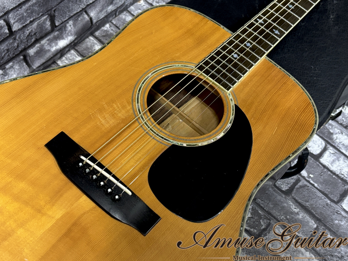 Morris W-60 Special 1976～1978年製【TF MORRIS Era / Jacaranda S&B