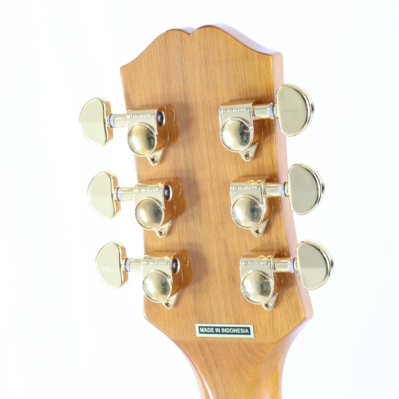 Epiphone 【数量限定エピフォン・アクセサリーパック