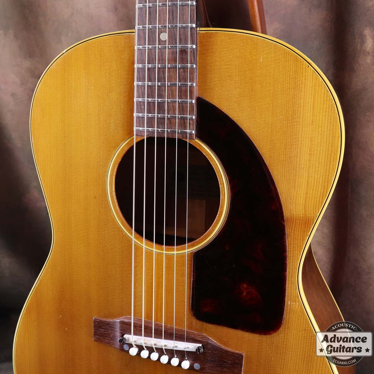 Epiphone 1966年製 FT-45 Cortez（ビンテージ）【楽器検索デジマート】