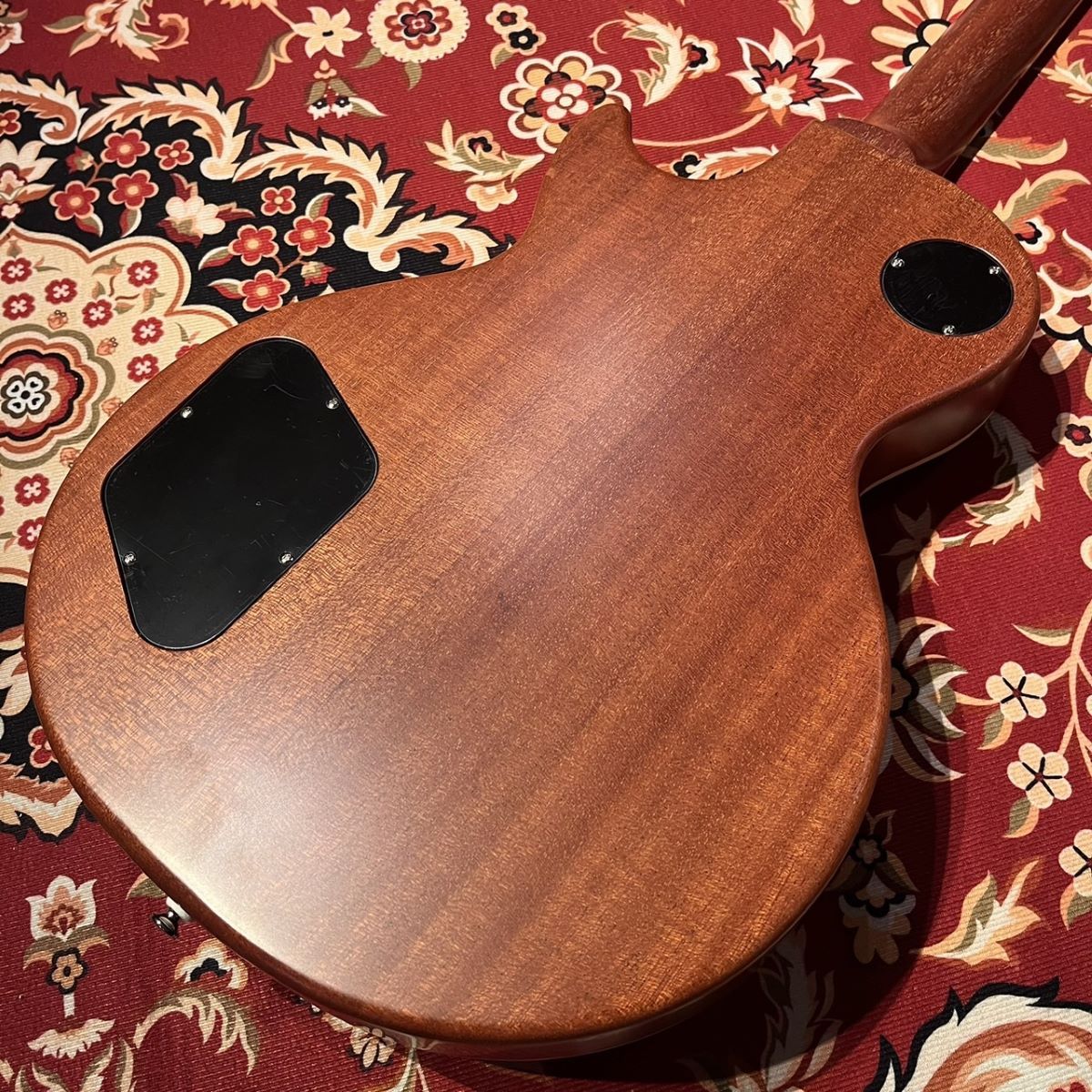 Tokai LS-STD w/BKP（新品/送料無料）【楽器検索デジマート】