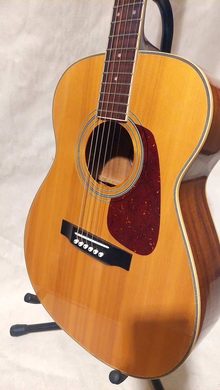 Morris MF-207（中古）【楽器検索デジマート】