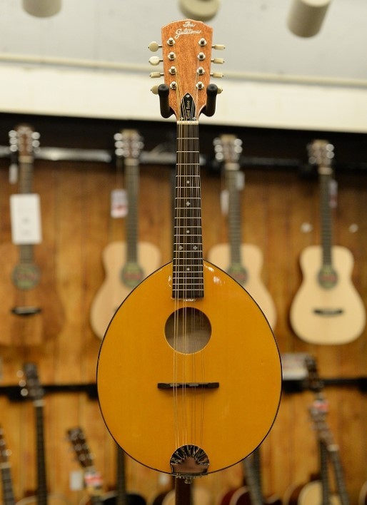 Gold Tone GM-10 Frypan Mandolin（新品）【楽器検索デジマート】