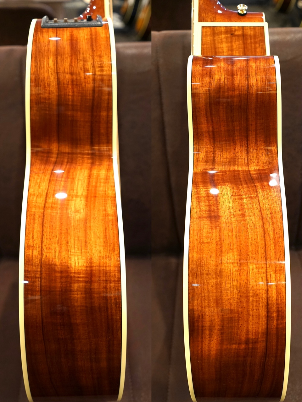 Takamine FPT531KC N【オールハワイアンコア】（新品）【楽器検索