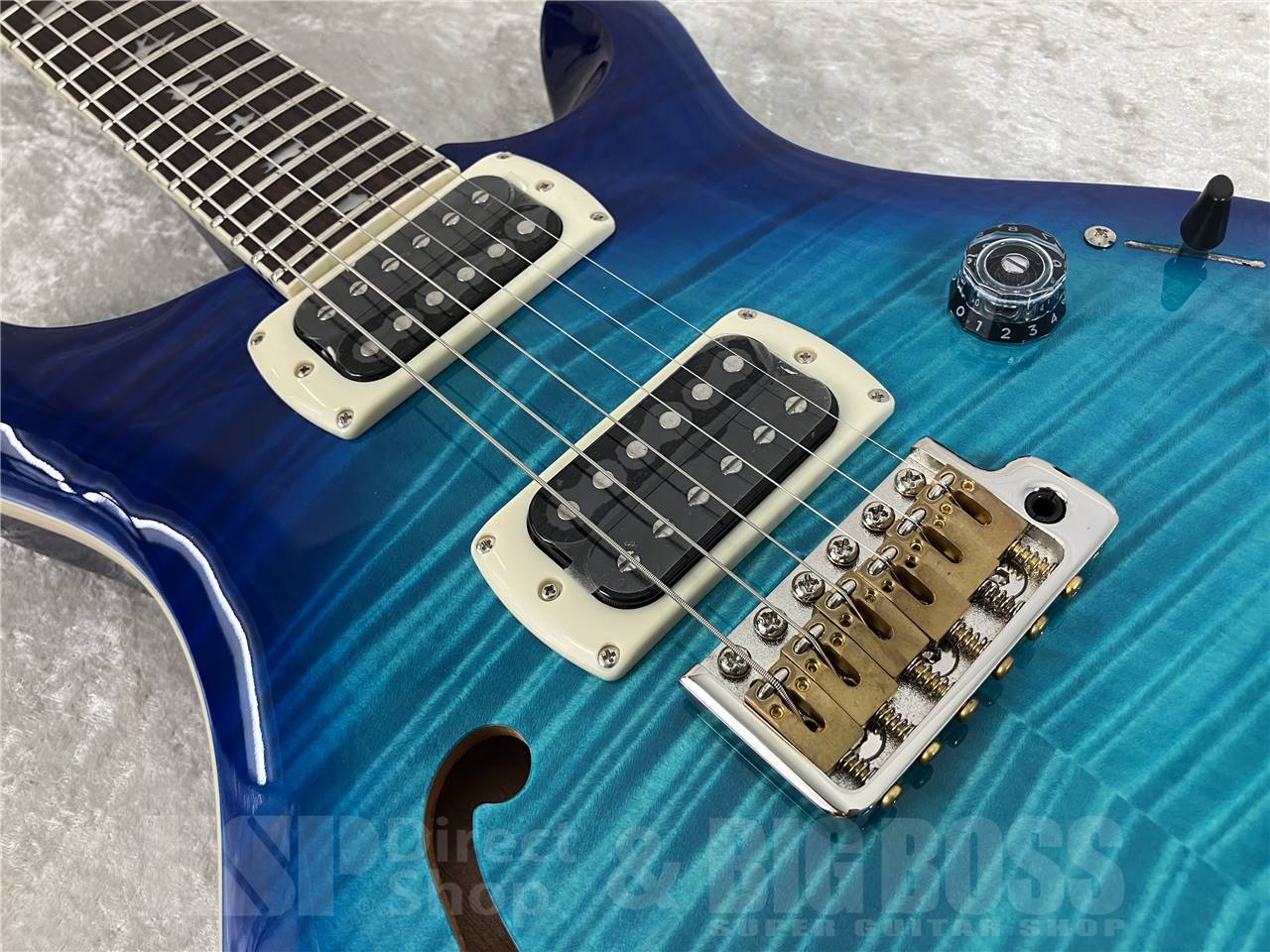 Paul Reed Smith(PRS) SE Custom 24 Semi-Hollow Piezo (Lake Blue