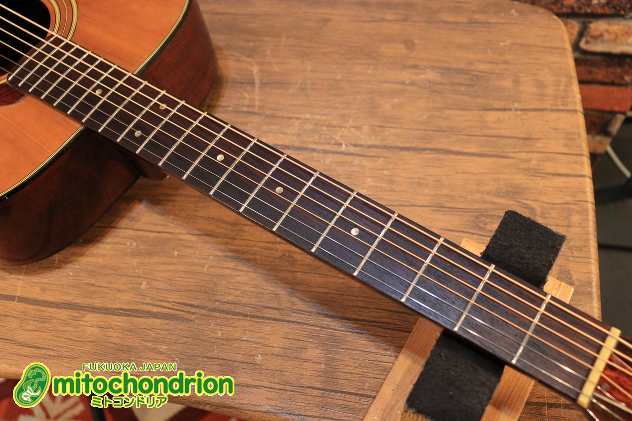 YAMAHA 1973年製 FG-130 / グリーンラベル（中古）【楽器検索