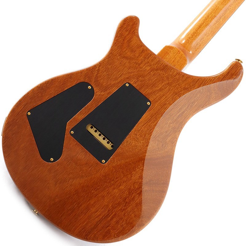 Paul Reed Smith(PRS) Ikebe Original Wood Library Custom24 McCarty