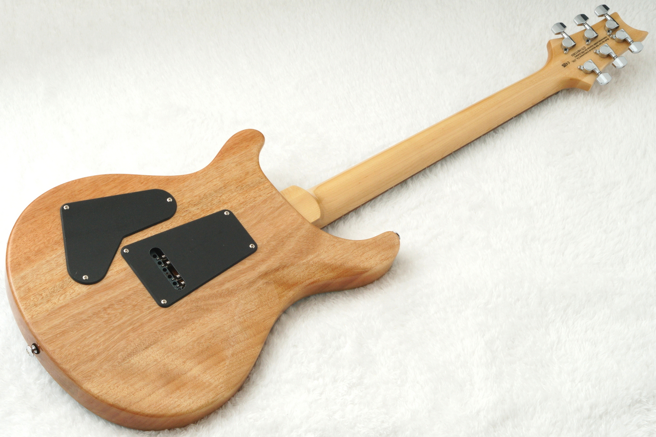 Paul Reed Smith(PRS) SE CUSTOM 24 ～Sapphire Fade～ #CTIH011303