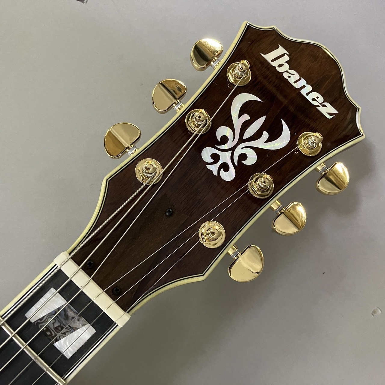 Ibanez 【現物画像】AS113B-TBC Tobacco Brown 島村楽器限定