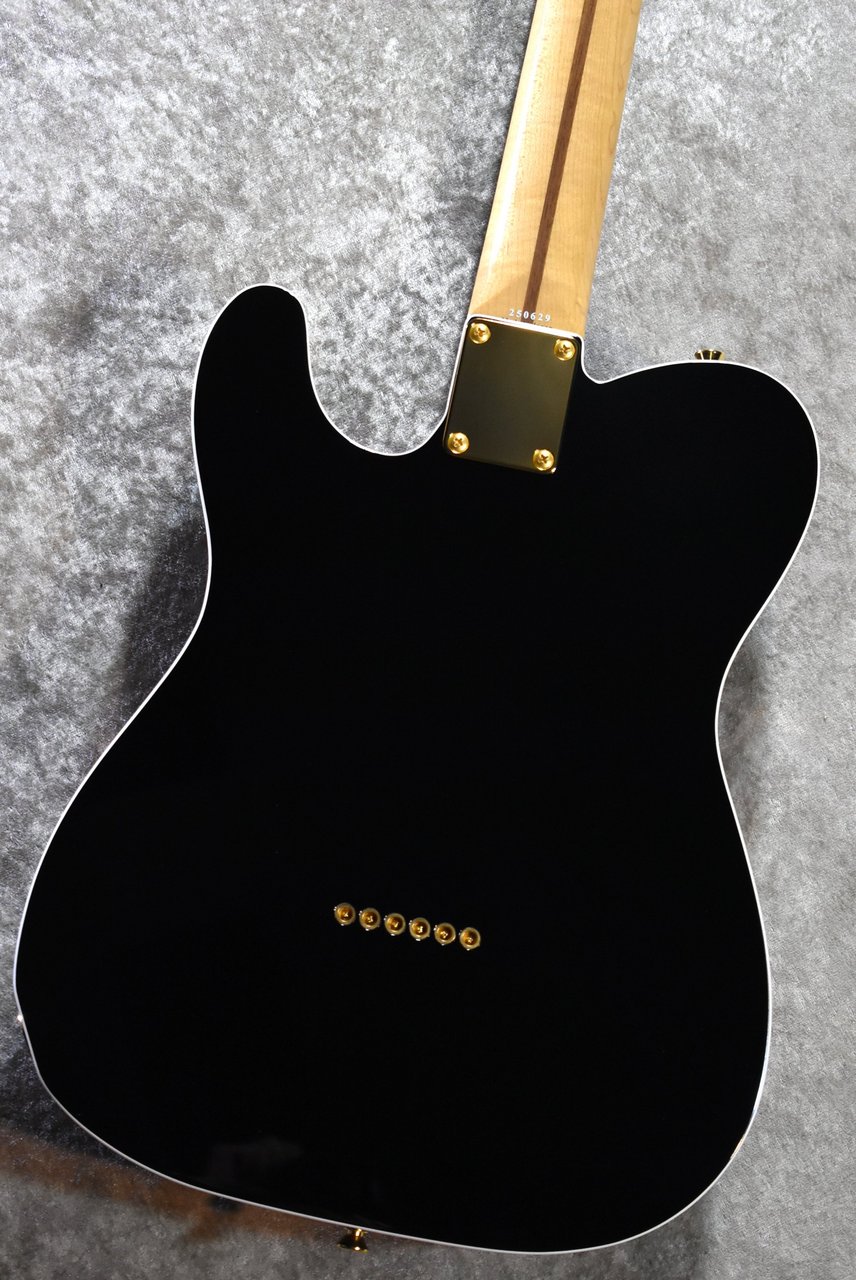 Tokai ATE-101B/G BBR #250619【待望の入荷、漆黒指板、3.81kg】（新品