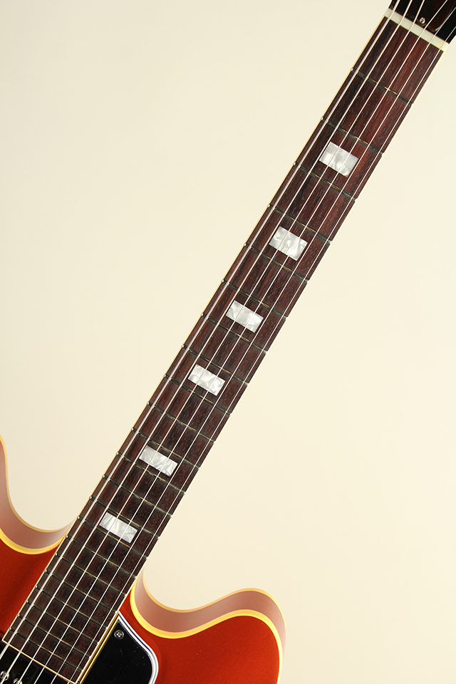 KING SNAKE Smith / Orange Brown Viper（新品）【楽器検索デジマート】