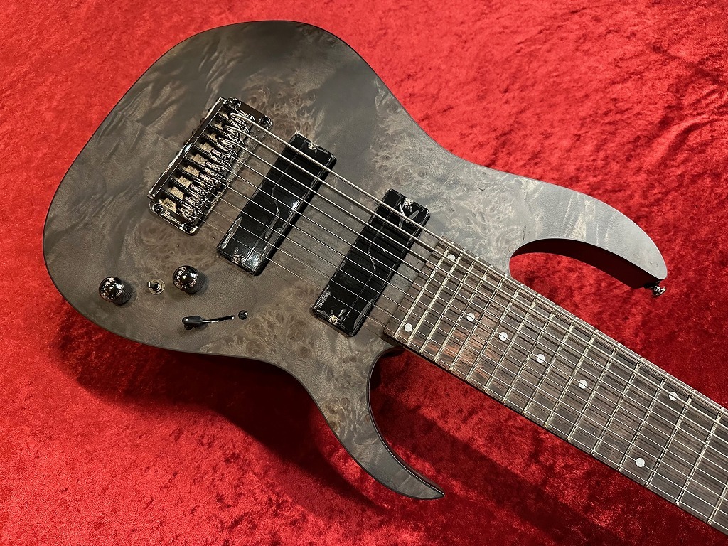 Ibanez RG9PB-TGF 【9弦】（新品/送料無料）【楽器検索デジマート】