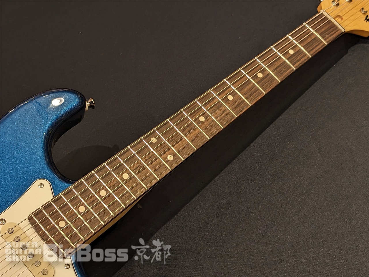 FUJIGEN(FGN) NST100RAL / Old Lake Placid（新品/送料無料）【楽器