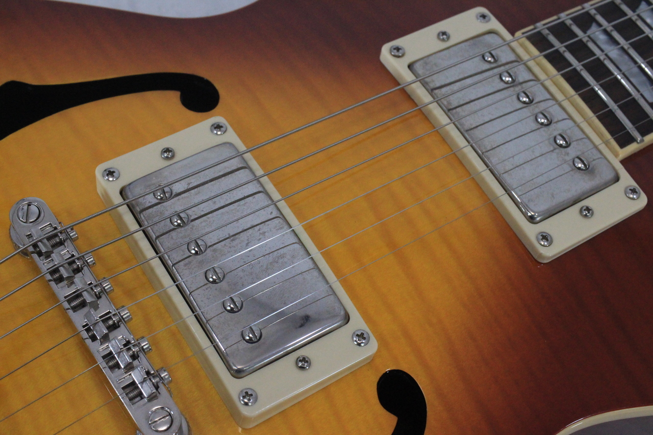 Epiphone LES PAUL FLORENTINE（中古）【楽器検索デジマート】