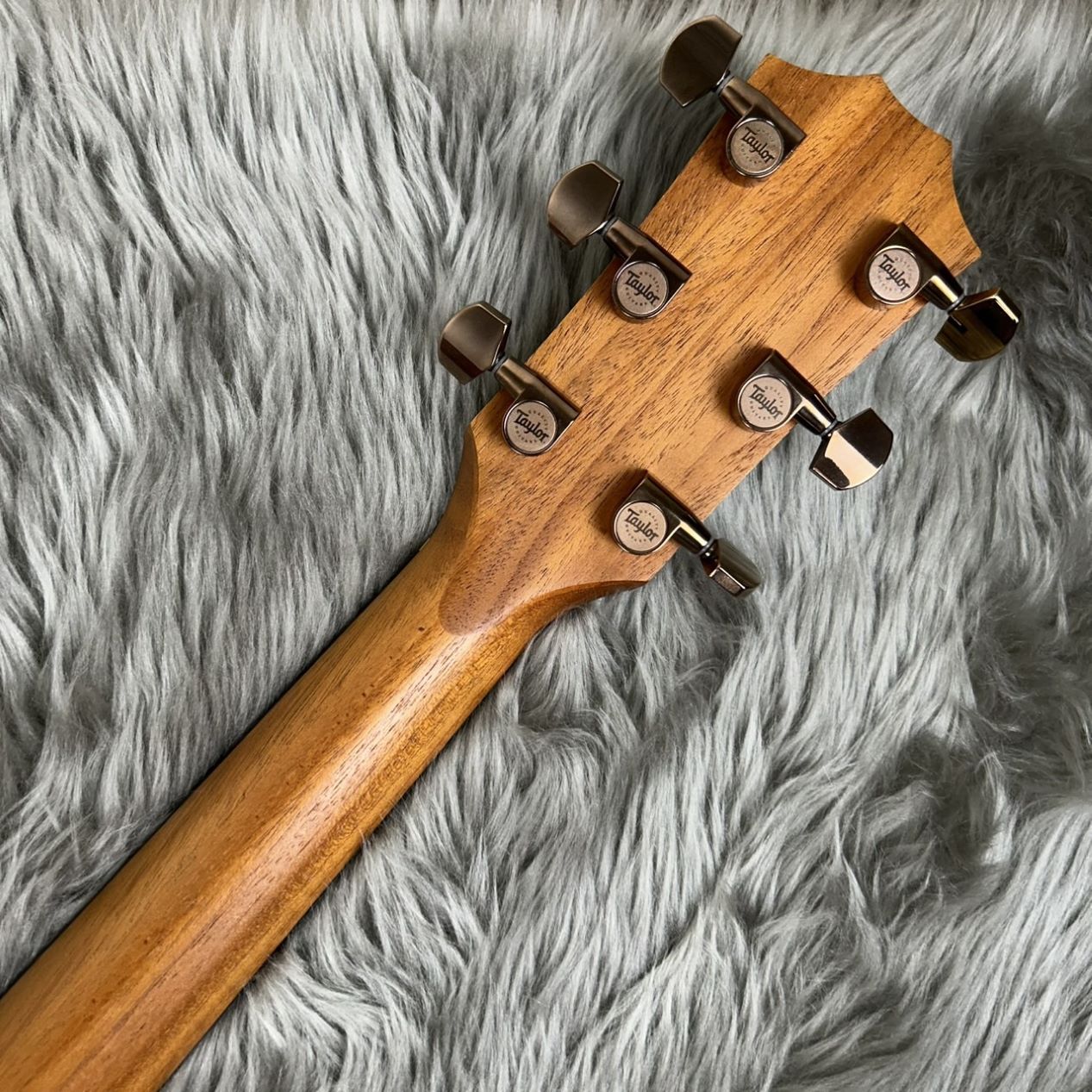 Taylor 【現物写真】214ce RW DLX エレアコギター（中古/送料無料