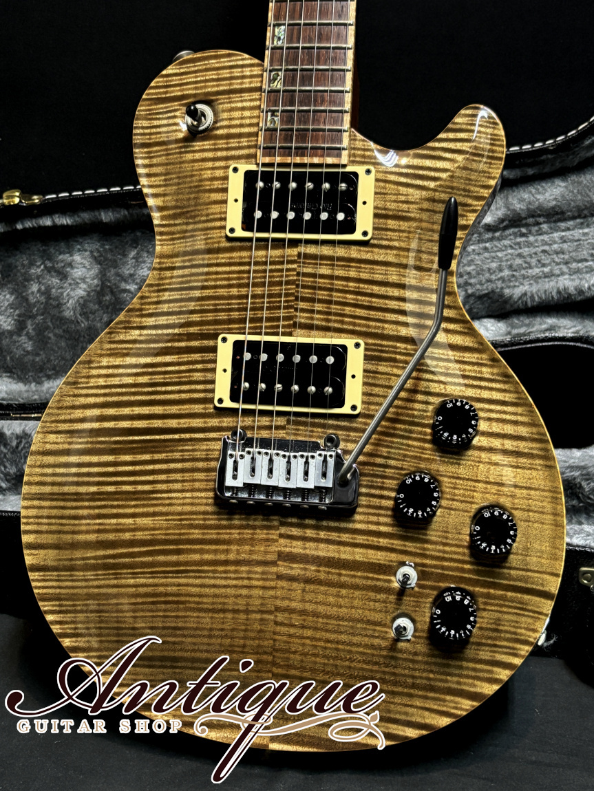 David Thomas McNaught BUG C/O Vintage Singlecut Trem Chambered