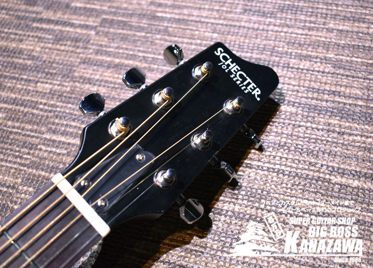 SCHECTER Oriental Line OL-FL / SSG【限定カラー!エレキギター感覚の