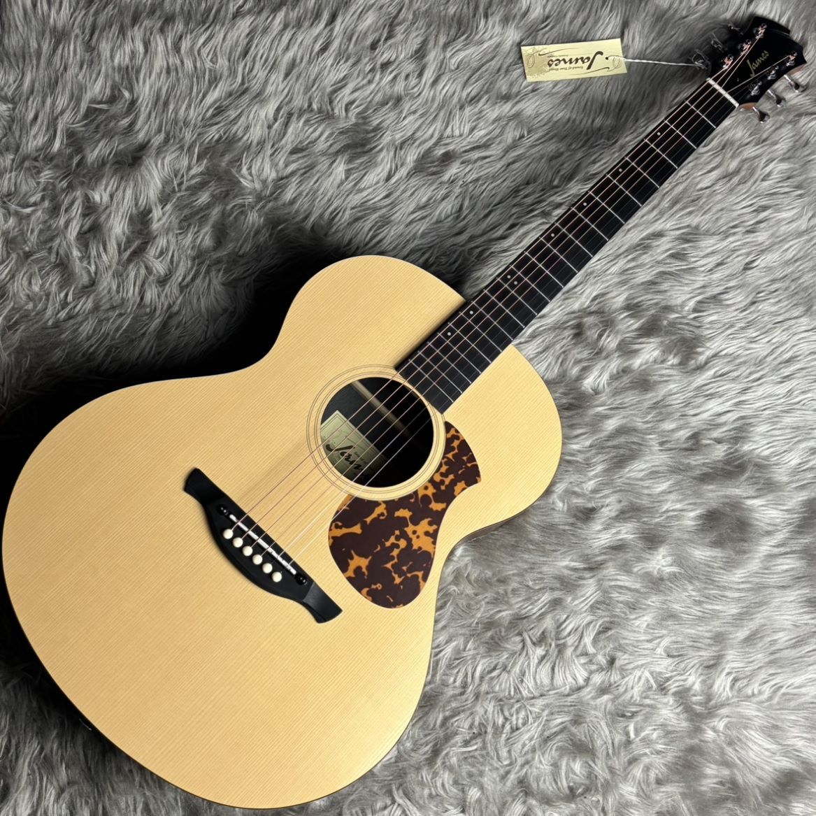James J-100A SPT アコースティックギター ギグケース付属 スプルース