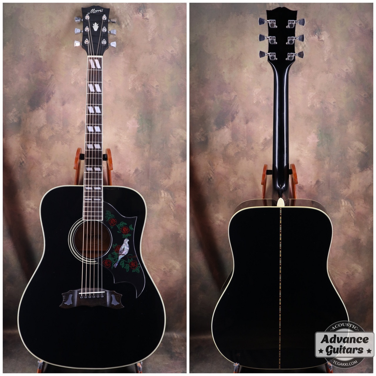 楽天市場】Morris モーリス/アコースティックギター/W-35/093000