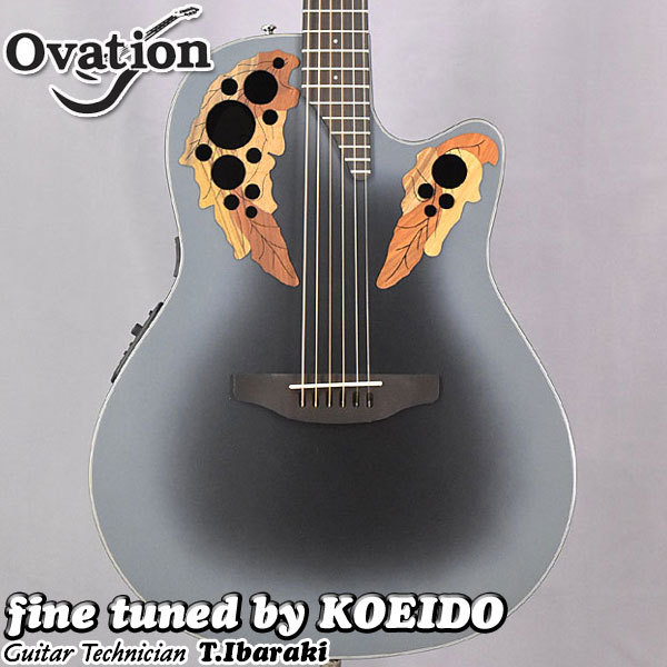 Ovation Ovation Celebrity Elite CE44 RBB-G【小樽店】（新品）【楽器 